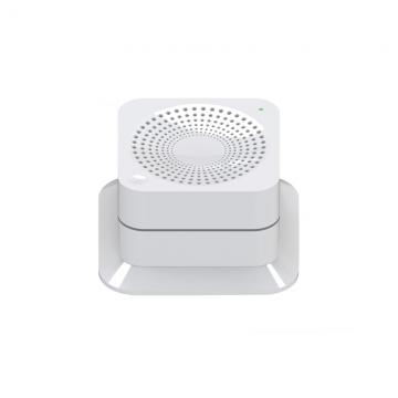 Wireless Gas Detector